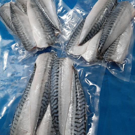 Frozen | SR | Mackerel Fillets Large | 2 to 3 Per Bag Depending On Size