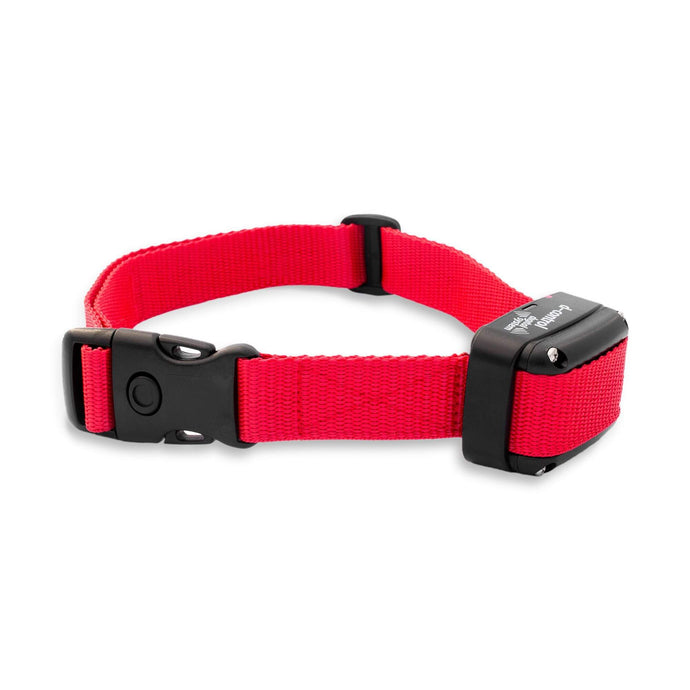 Wildhunter.ie - Dog Trace | Additional Receiver Collar | D-Control -  Dog Training Collars 