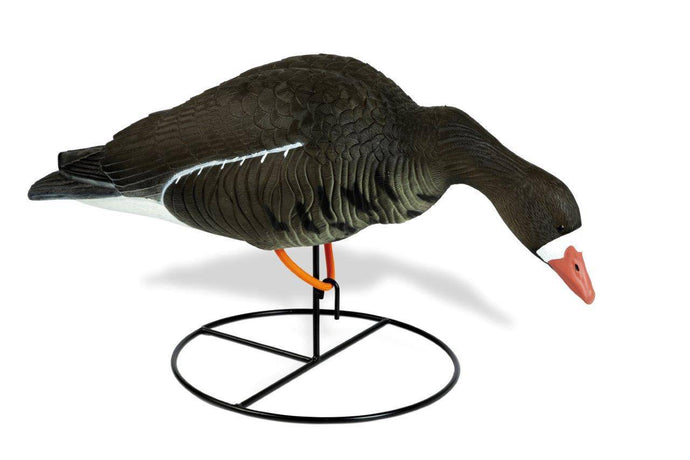 Wildhunter.ie - White Fronted Goose Bent Over -  Decoys 