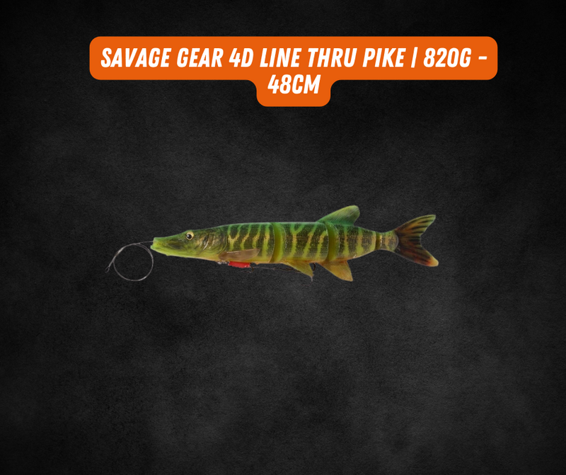 Load image into Gallery viewer, #23 Raffle: Savage Gear Pike Bundle

