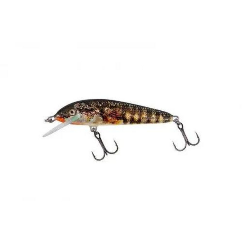 Load image into Gallery viewer, Salmo | Minnow Crank | Sinking | 5cm
