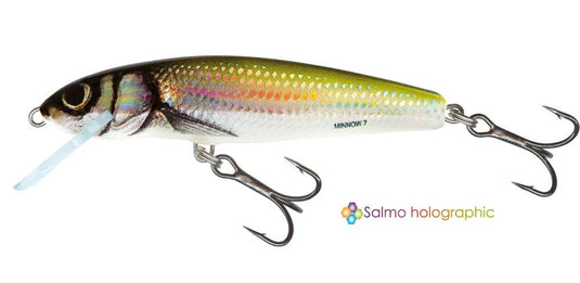 Wildhunter.ie - Salmo | Minnow Crank | Sinking | 5cm -  Trout/Salmon Lures 