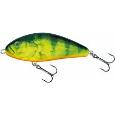 Load image into Gallery viewer, Wildhunter.ie - Salmo Fatso | Freshwater | Floating | 85g | 14cm -  Predator Lures 

