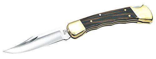 Wildhunter.ie - Buck Knife | 110FG | Spring Assisted Knife -  Knives 