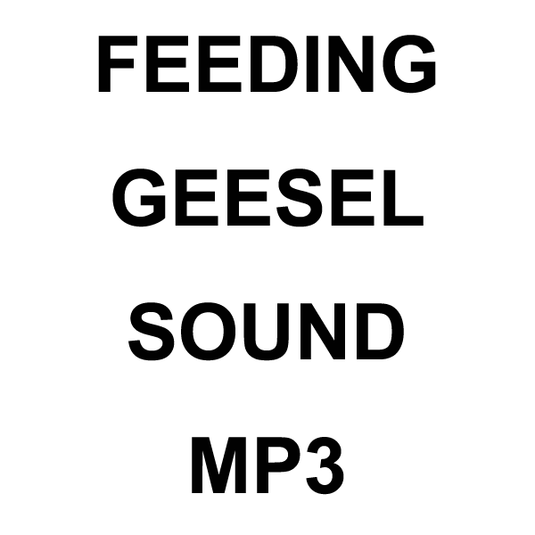Wildhunter.ie - Feeding Geesel MP3 Sound Download -  MP3 Downloads 
